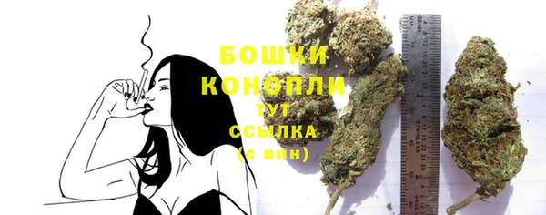 трава Беломорск