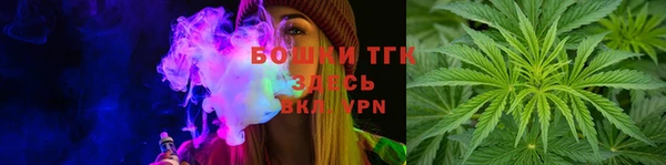mix Богородицк