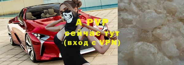 spice Белокуриха