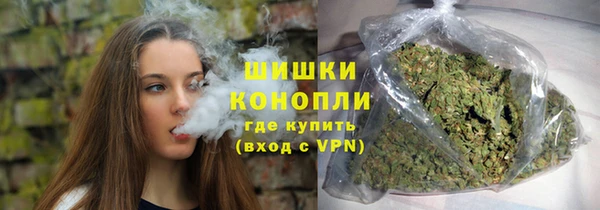 mix Богородицк